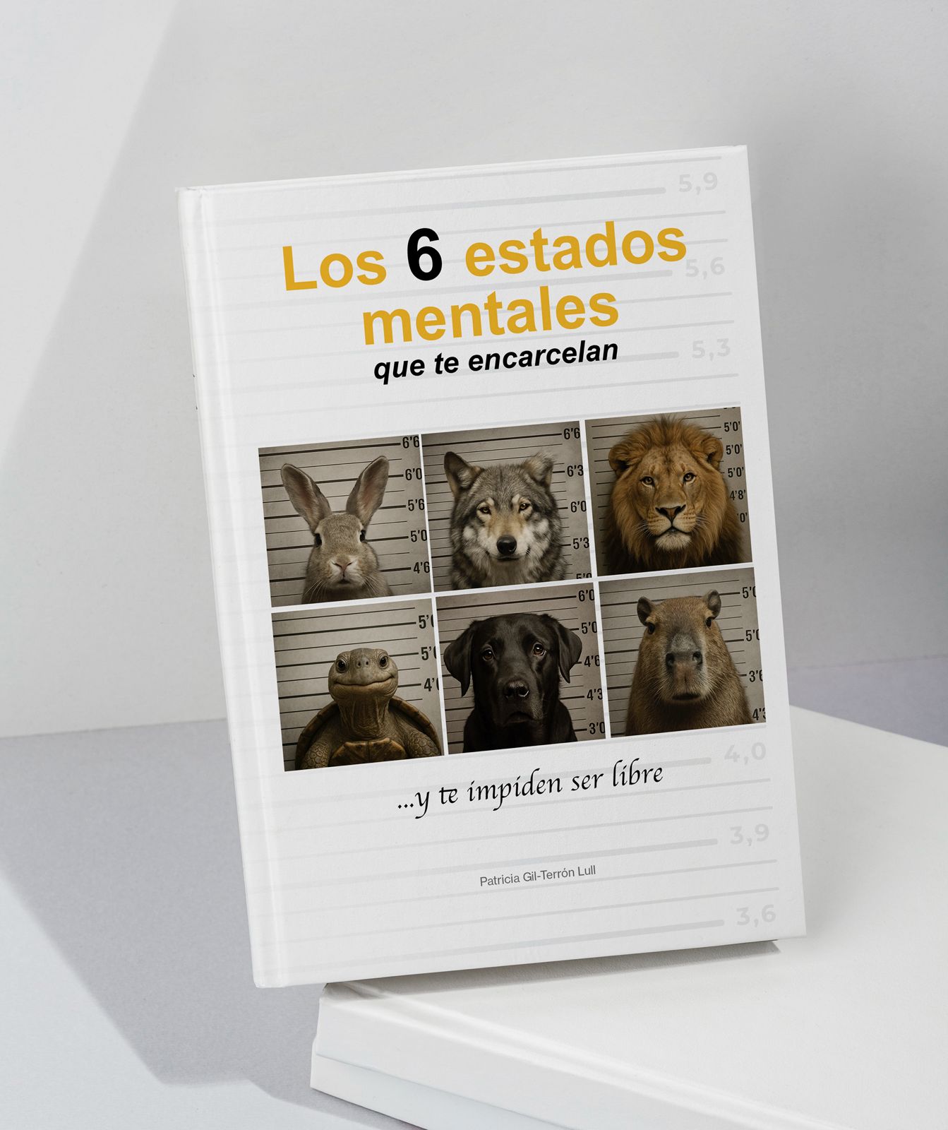 Los 6 estados mentales
