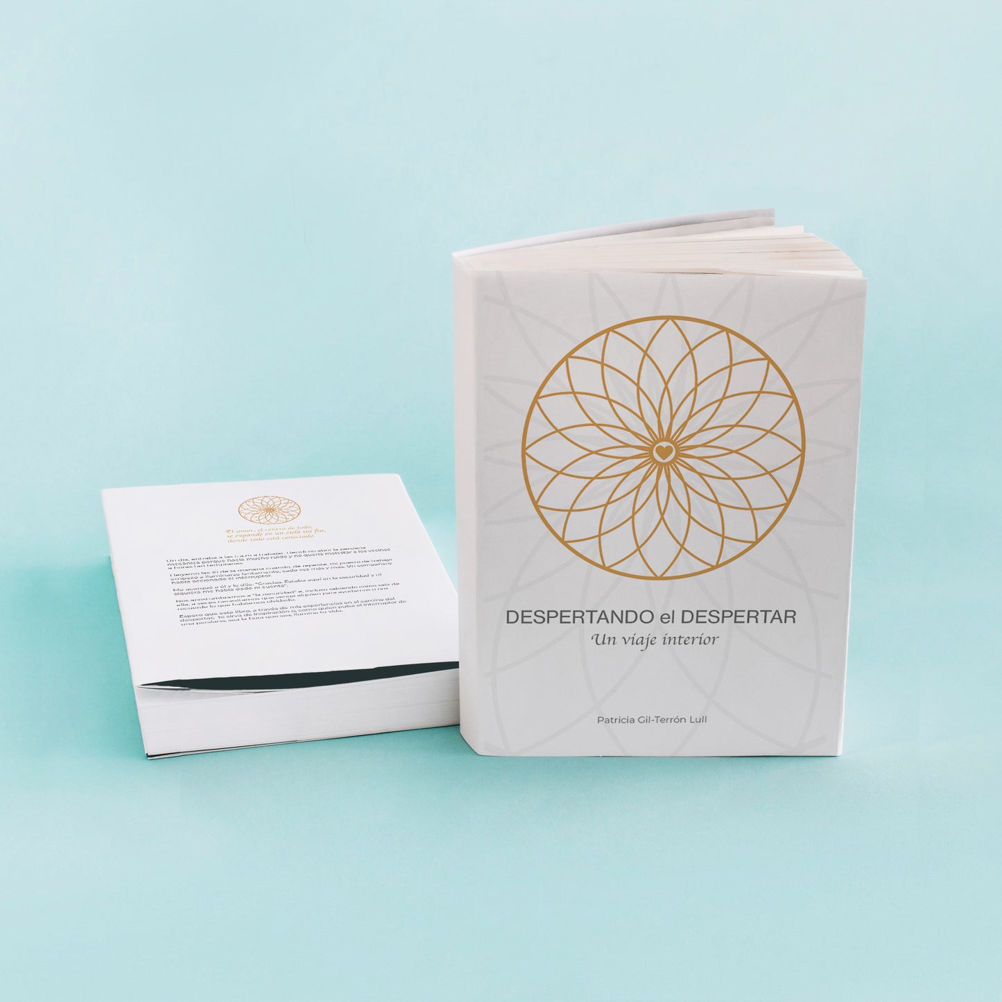 Despertando el despertar: Un viaje interior