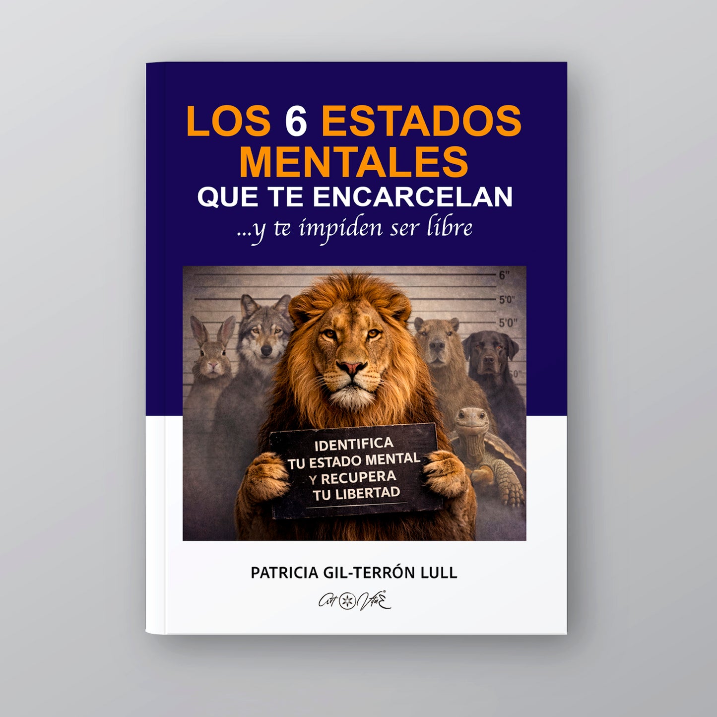 Los 6 estados mentales