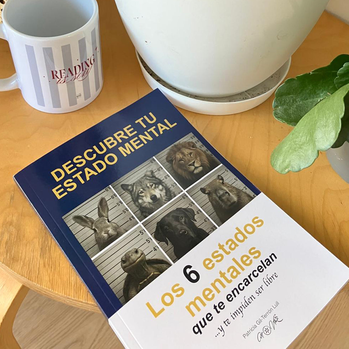 Los 6 estados mentales