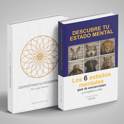 Despertando el despertar: Un viaje interior