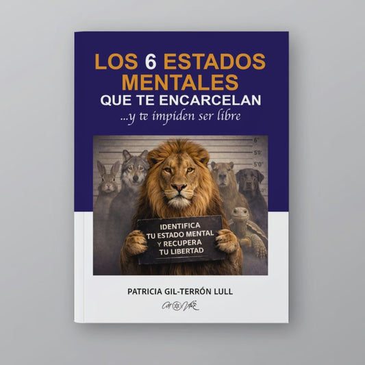 Los 6 estados mentales